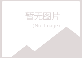 东阳夏岚计算机有限公司